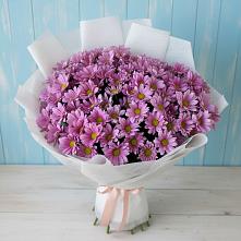 Букет цветов из:  Хризантемы в Тарумовке