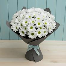 Букет цветов из:  Хризантемы #REPLACE_PRED# Тарумовке