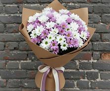 Букет цветов из:  Хризантемы #REPLACE_PRED# Тарумовке