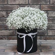 Цветочная композиция из Гипсофила в шляпной коробке в Тарумовке