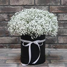 Цветочная композиция из Гипсофила в шляпной коробке в Тарумовке
