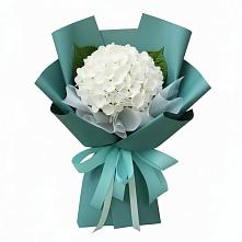 Букет цветов из:  Гортензия #REPLACE_PRED# Тарумовке